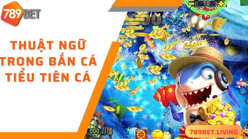 Thuật ngữ cần biết khi chơi bắn cá tiểu tiên cá